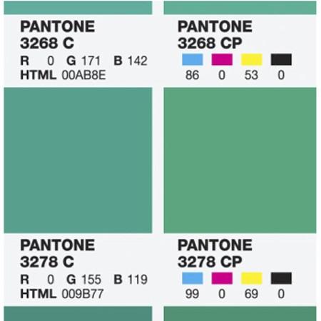Pantone – nuova color bridge c/u set