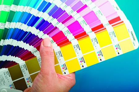 Pantone – nuova color bridge c/u set